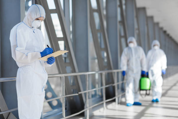 Best Mold Remediation for Vacation Homes  in Lawrence, KS