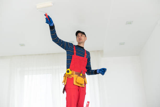 Best Industrial Mold Remediation  in Lawrence, KS