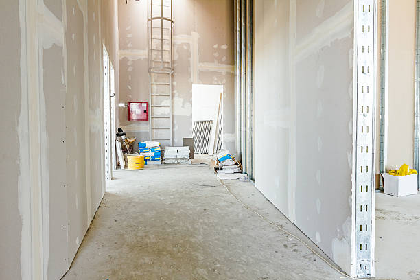 Best Emergency Mold Remediation  in Lawrence, KS