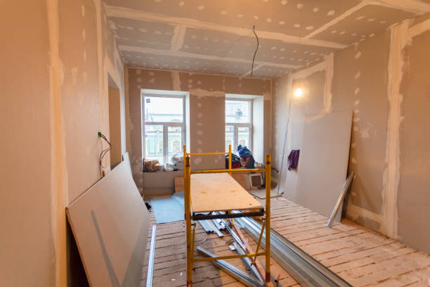  Lawrence, KS Mold Removal Pros